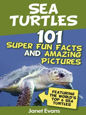 cover image of Sea Turtles: 101 Super Fun Facts and Amazing Pictures